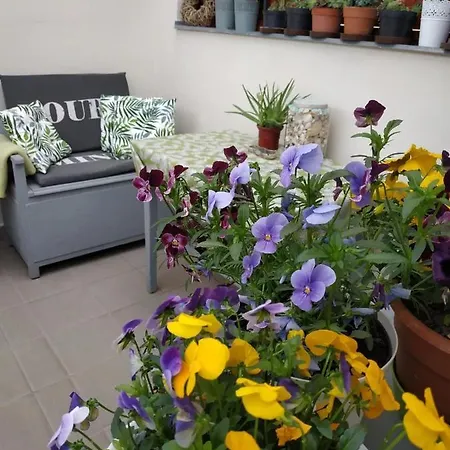 Belvarosi Levendula 公寓 久洛