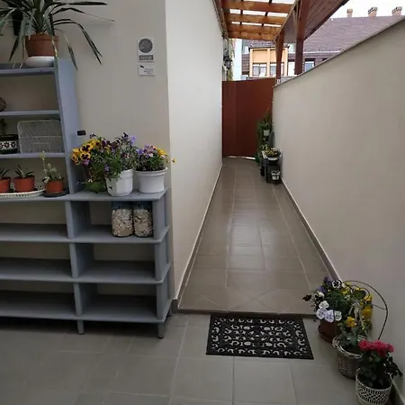 Apartman Belvárosi Levendula