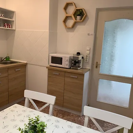 Belvarosi Levendula *