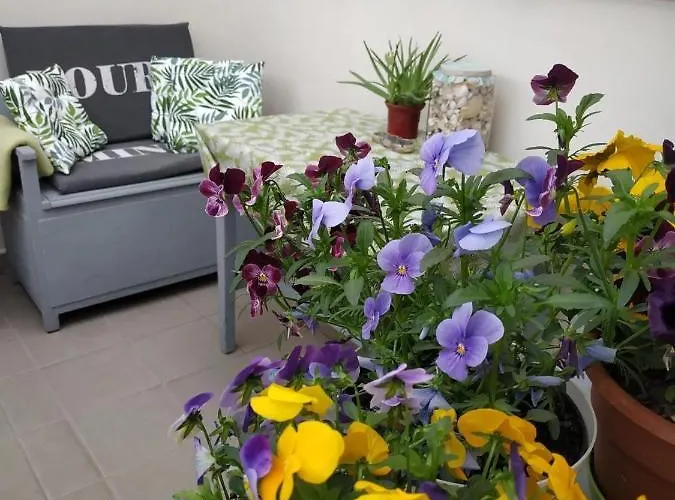 Belvarosi Levendula Apartment Gyula