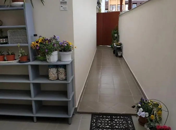 Apartment Belvarosi Levendula